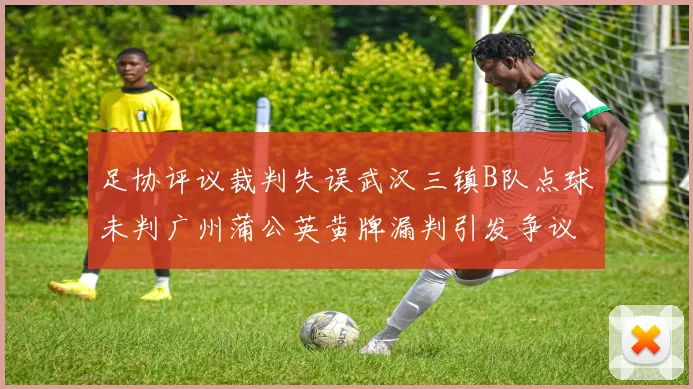 足协评议裁判失误武汉三镇B队点球未判广州蒲公英黄牌漏判引发争议